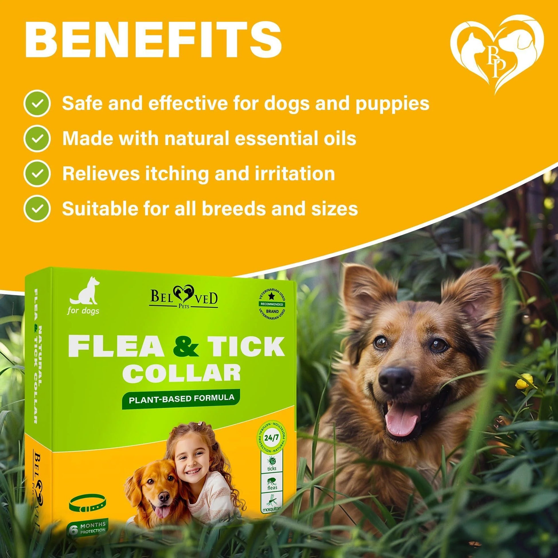 Natural Flea & Tick Collar for Dogs 6 Months Control of Best Prevention & Safe Treatment anti Fleas and Ticks Essential Oil Repellent (1 Count (Pack of 1))
